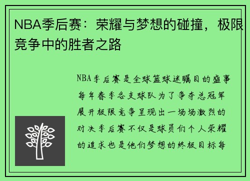 NBA季后赛：荣耀与梦想的碰撞，极限竞争中的胜者之路